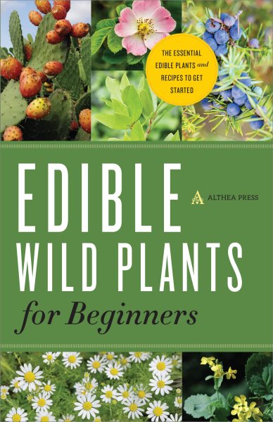 Edible Wild Plants for Beginners | 拾書所