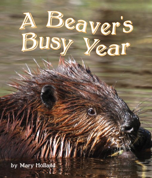 The Beavers\