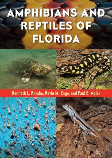Amphibians and Reptiles of Florida | 拾書所