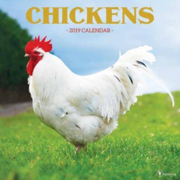 Chickens 2019 Calendar(Wall)