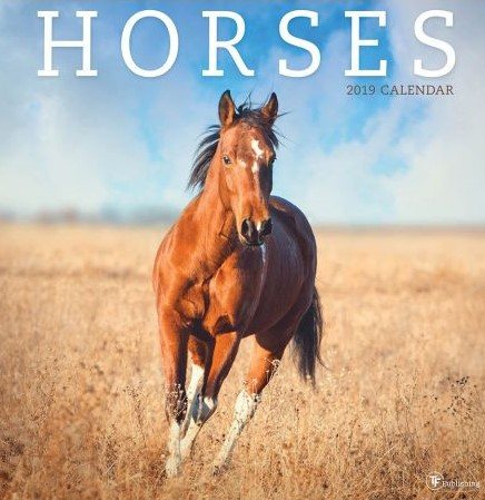 Horses 2019 Calendar(Wall)