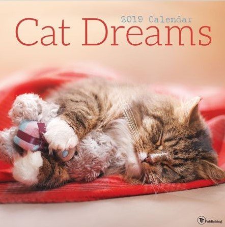 Cat Dreams 2019 Calendar(Wall)