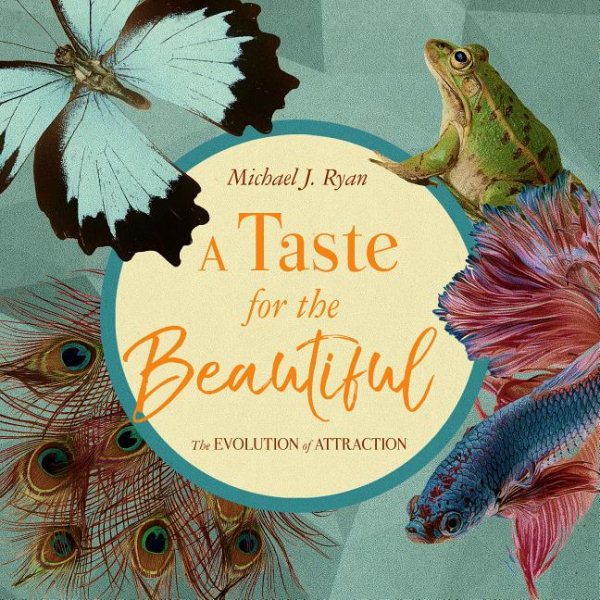 A Taste for the Beautiful | 拾書所