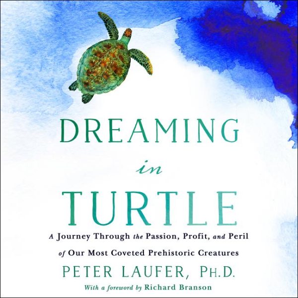Dreaming in Turtle | 拾書所