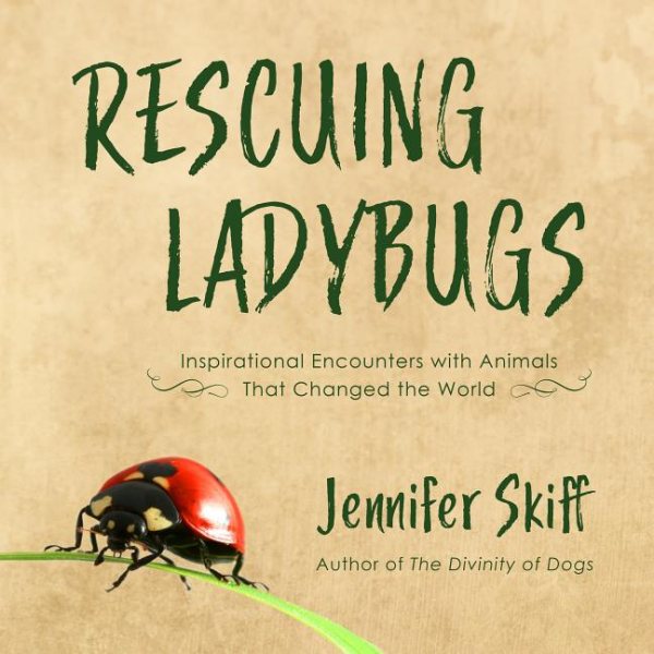 Rescuing Ladybugs | 拾書所