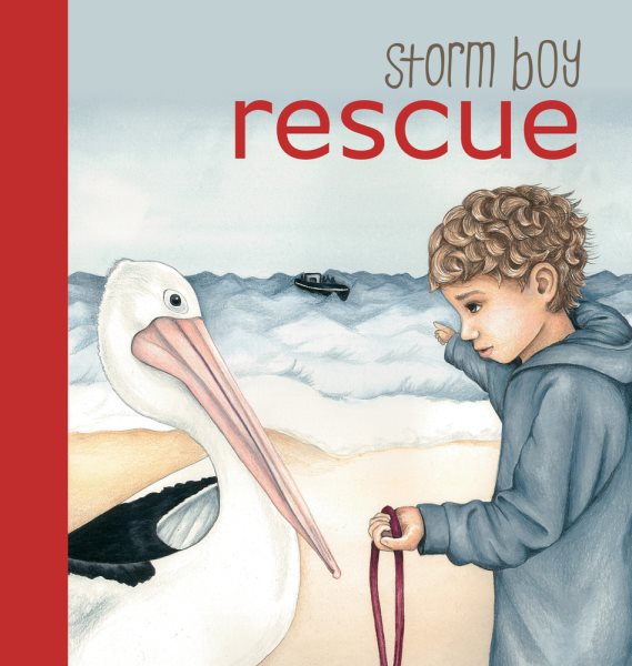 Storm Boy Rescue
