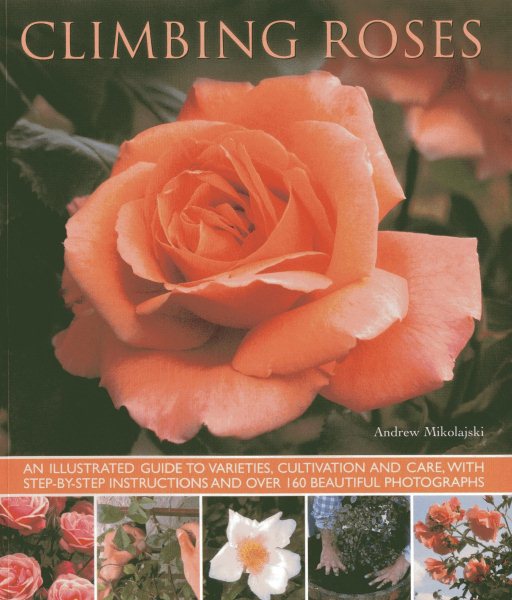 Climbing Roses | 拾書所
