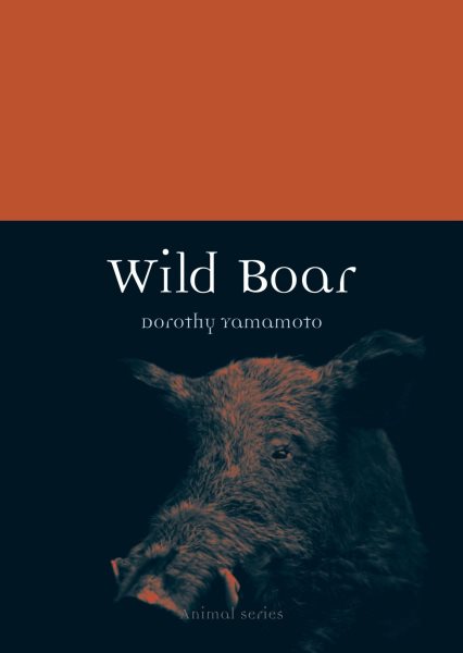 Wild Boar | 拾書所
