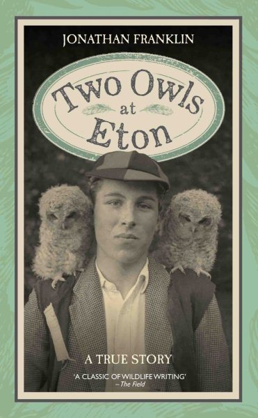 Two Owls at Eton | 拾書所