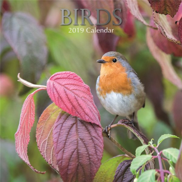 Birds 2019 Calendar(Wall)