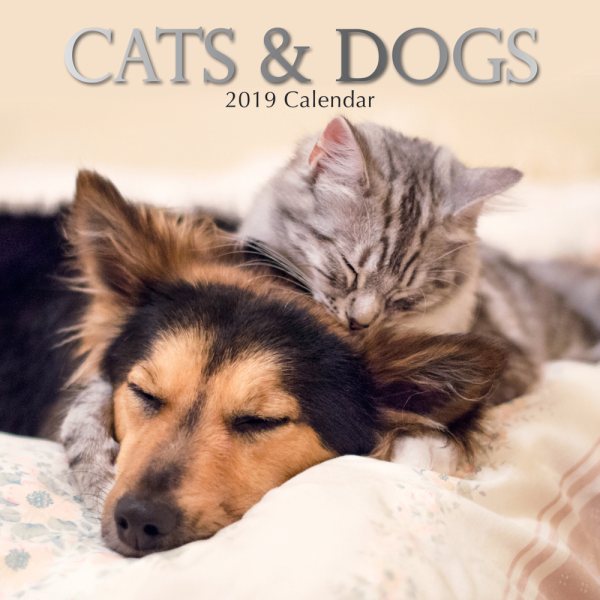Cats & Dogs 2019 Calendar(Wall)
