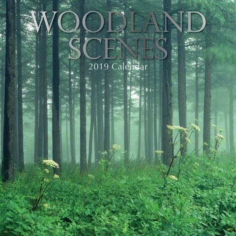 Woodland Scenes 2019 Calendar(Wall)