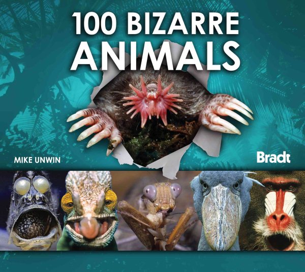100 Bizarre Animals | 拾書所