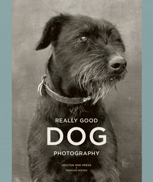 Really Good Dog Photography | 拾書所