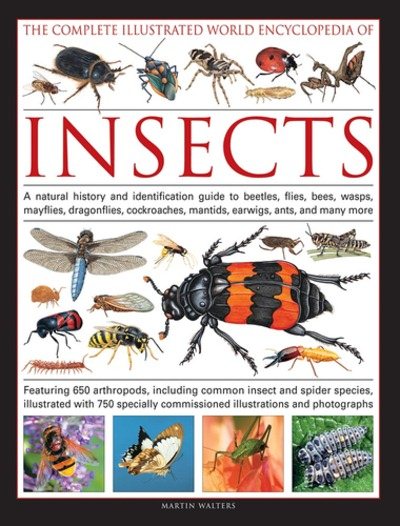 The Complete Illustrated World Encyclopedia of Insects | 拾書所