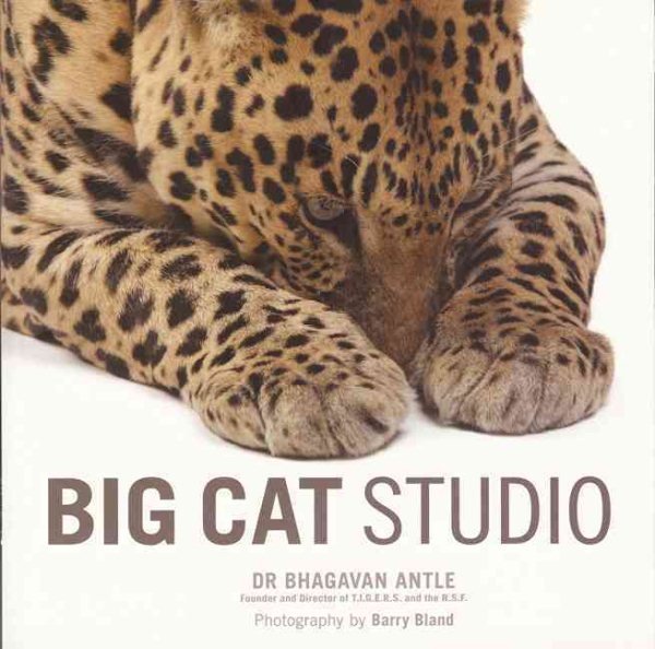 Big Cat Studio | 拾書所