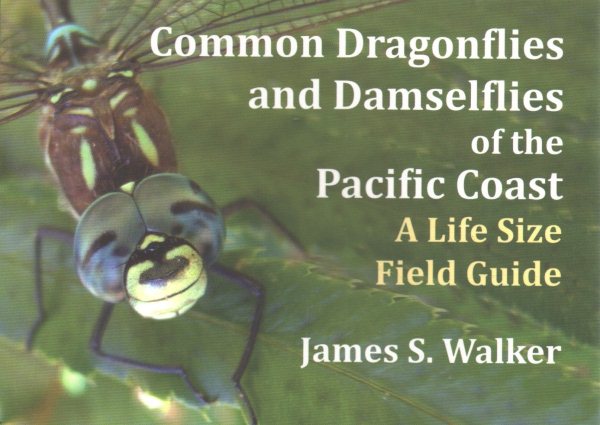 Common Dragonflies and Damselflies of the Pacific Coast | 拾書所