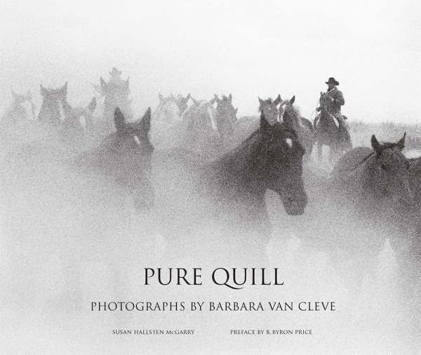 Pure Quill | 拾書所