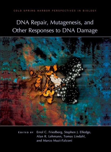 DNA Repair, Mutagenesis, and Other Responses to DNA Damage | 拾書所