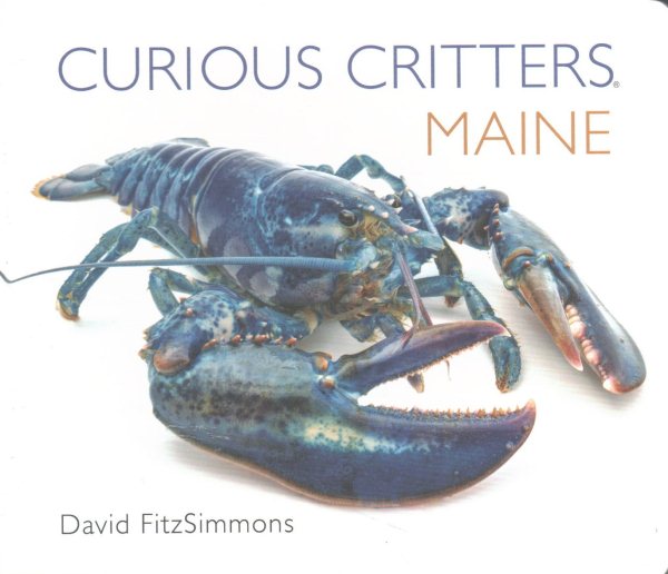 Curious Critters Maine