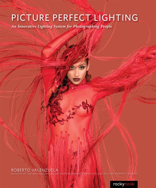 Picture Perfect Lighting | 拾書所