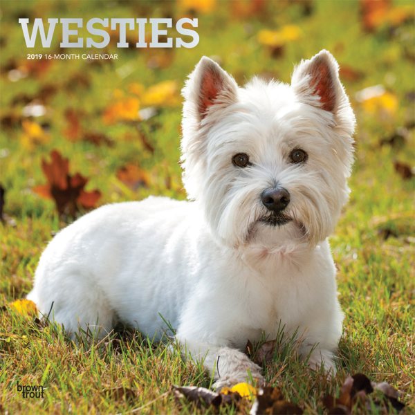 West Highland White Terriers 2(Wall)