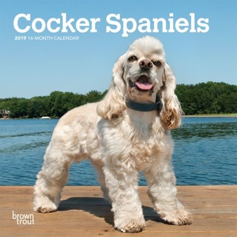 Cocker Spaniels 2019 Calendar