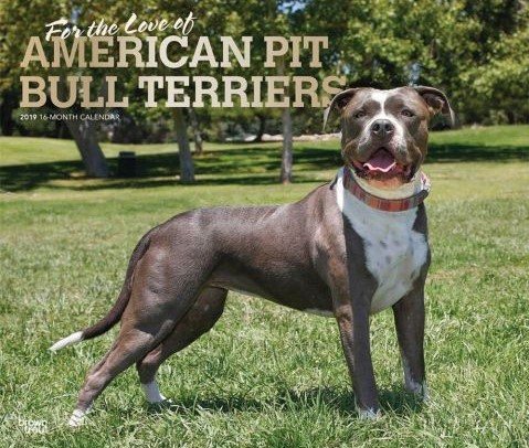 For the Love of American Pit Bull Terriers 2019 Calendar