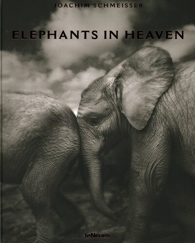 Elephants in Heaven | 拾書所