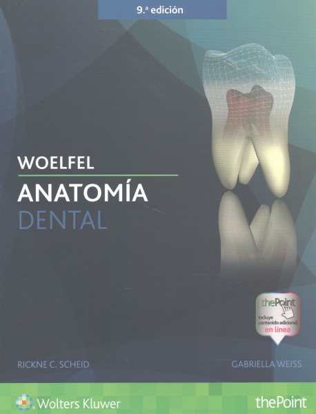 Woelfels Anatomía dental