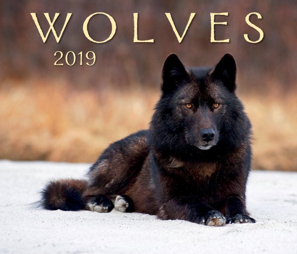Wolves 2019(Wall)
