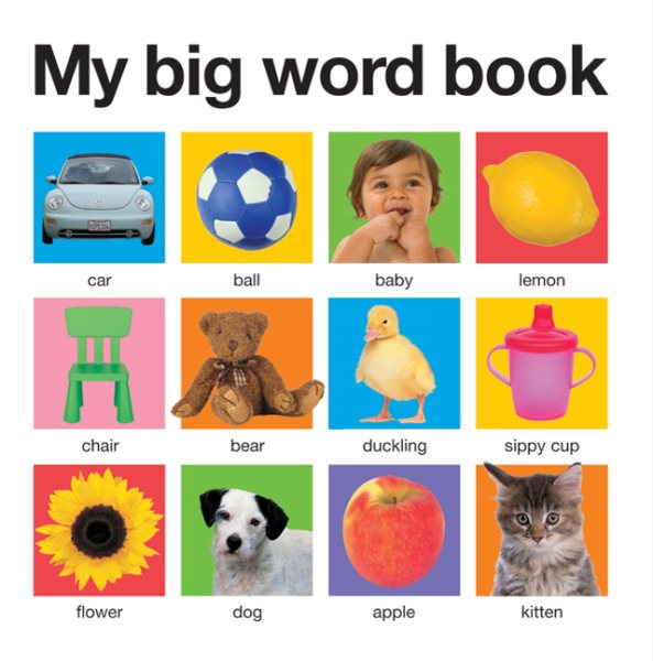 My Big Board Books My Big Word Book