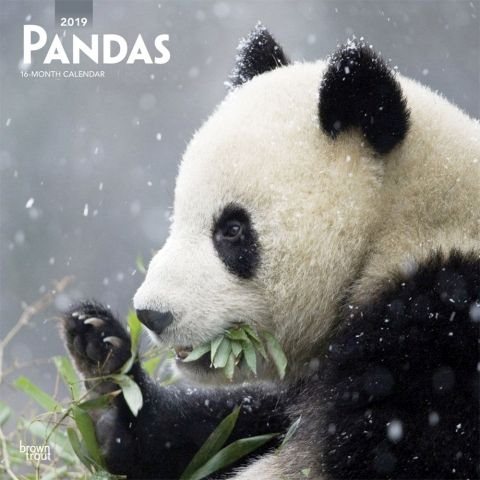 Pandas 2019 Calendar(Wall)