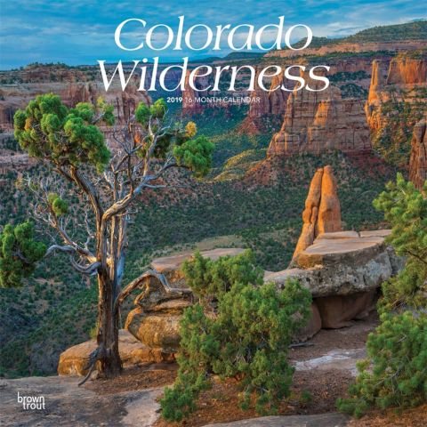 Colorado Wilderness 2019 Calen(Wall)