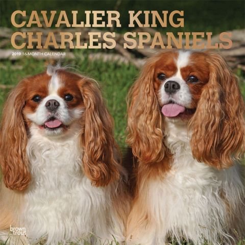 Cavalier King Charles Spaniels(Wall)