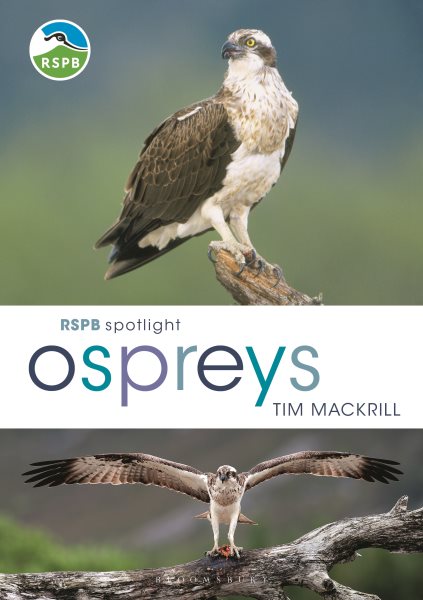 Rspb Spotlight Osprey | 拾書所