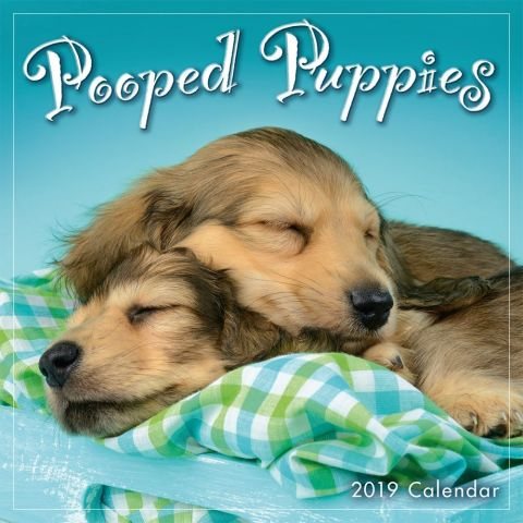 Pooped Puppies 2019 Calendar