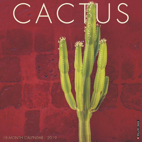 Cactus 2019 Calendar(Wall)