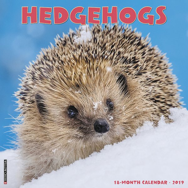 Hedgehogs 2019 Calendar(Wall)