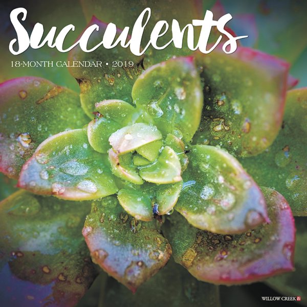 Succulents 2019 Calendar(Wall)
