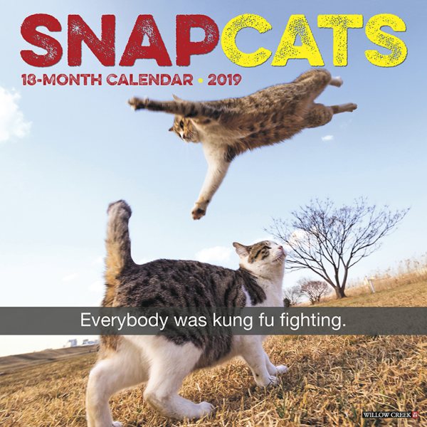 Snapcats 2019 Calendar(Wall)
