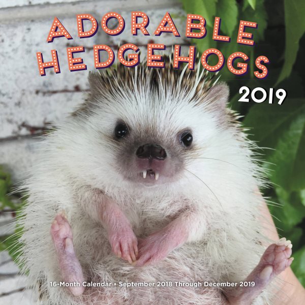 Adorable Hedgehogs 2019 Calendar