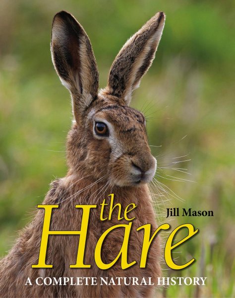 The Hare | 拾書所