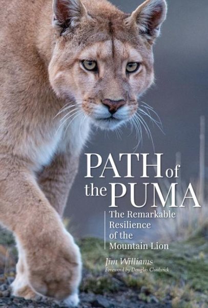 The Path of the Puma