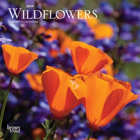 Wildflowers 2019 Calendar