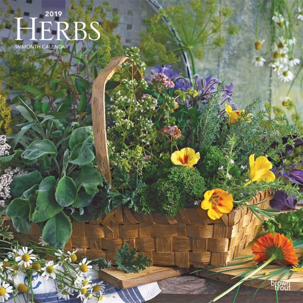 Herbs 2019 Calendar(Wall)