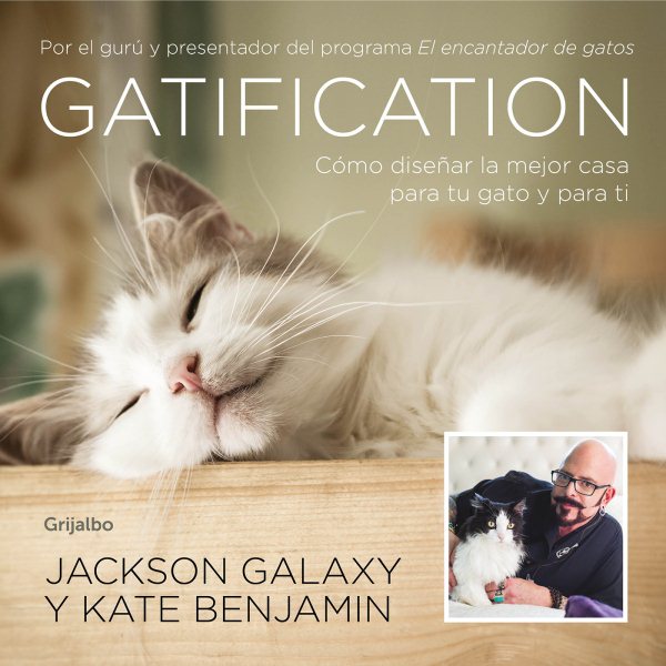 Gatification: Cómo diseñar la mejor casa para tu gato y para ti / Catification