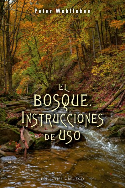 El Bosque / The Forest